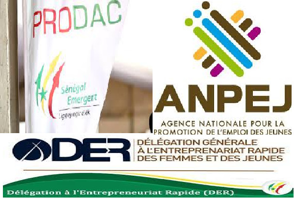 PRODAC-ANPEJ-DER et l'Emploi: Sur les traces de 140 milliards de francs Cfa