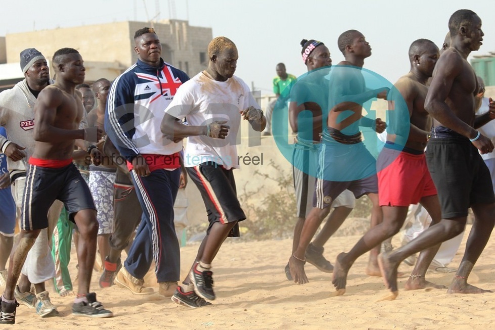 [Photos exclusives] Leral à l'entraînement de Tapha Tine: Le géant du Baol respire la forme