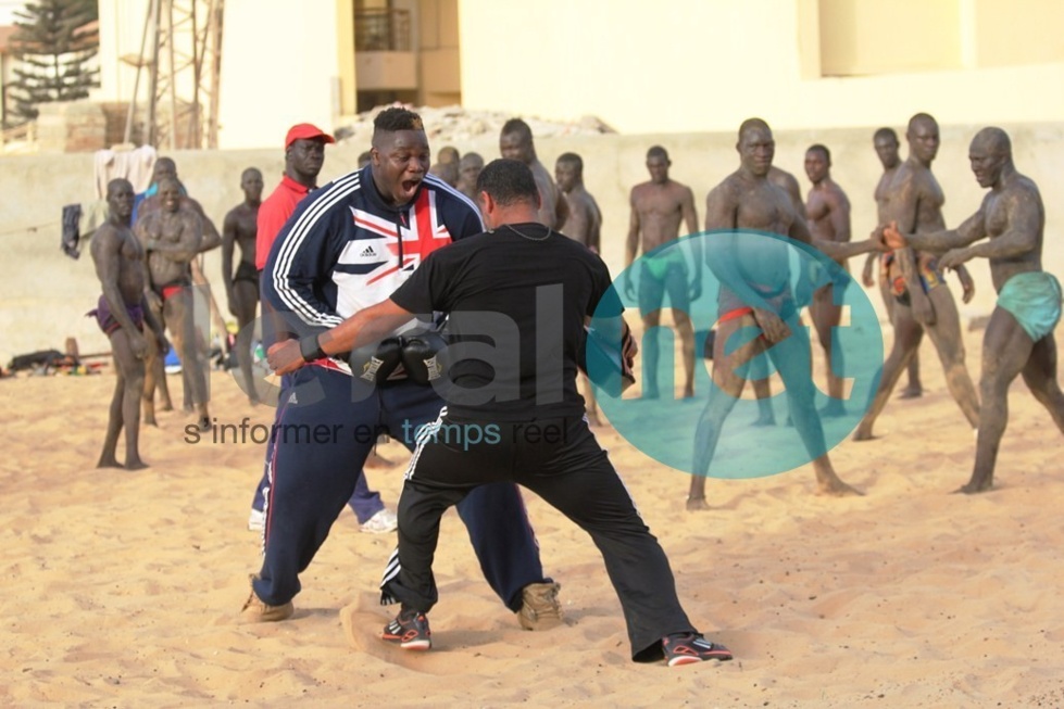 [Photos exclusives] Leral à l'entraînement de Tapha Tine: Le géant du Baol respire la forme