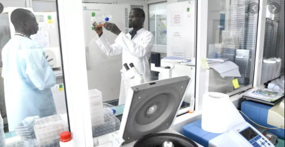 Covid-19: 67 nouveaux cas, 31 patients guéris, 16 cas graves, 3 décès...