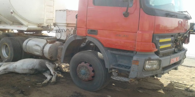 Mbacké: Un camion heurte une charrette et tue sur le coup une mineure