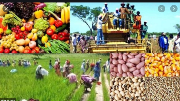 Campagne agricole 2021-2022: Macky Sall satisfait du déroulement