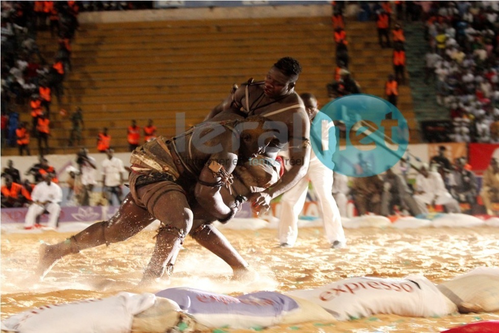 [Photos exclusives] Victoire de Balla sur Tapha: Le "Roi" dicte sa loi au "Néant" du Baol 