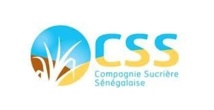 Pour protéger la CSS : La douane bloque 9.100 tonnes de sucre importé au Port