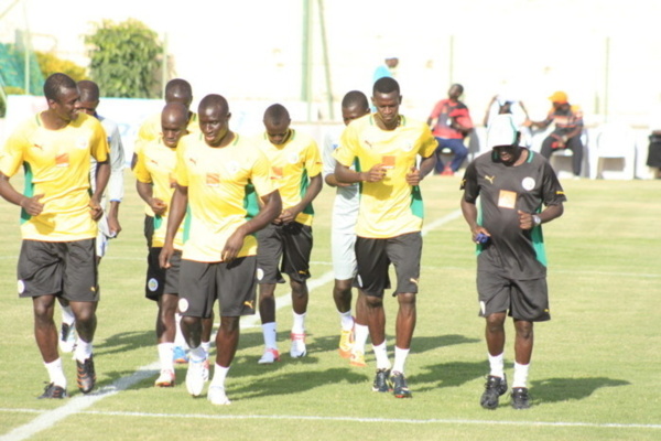 En route pour Brésil 2014 : Les Lions reprennent le chemin des entraînements