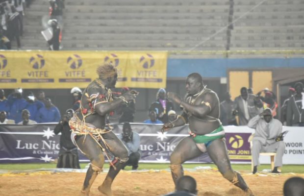 Trois combats pour Balla Gaye 2: Après Bombardier, Boy Niang 2, ce sera Gris Bordeaux