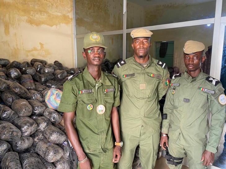 Saisies de drogue, de devises et de médicaments: 1 650 kg de chanvre indien et 245 400 faux euros saisis à Kaolack Saisies de drogue, de devises et de médicaments: 1 650 kg de chanvre indien et 245 400 faux euros saisis à Kaolack