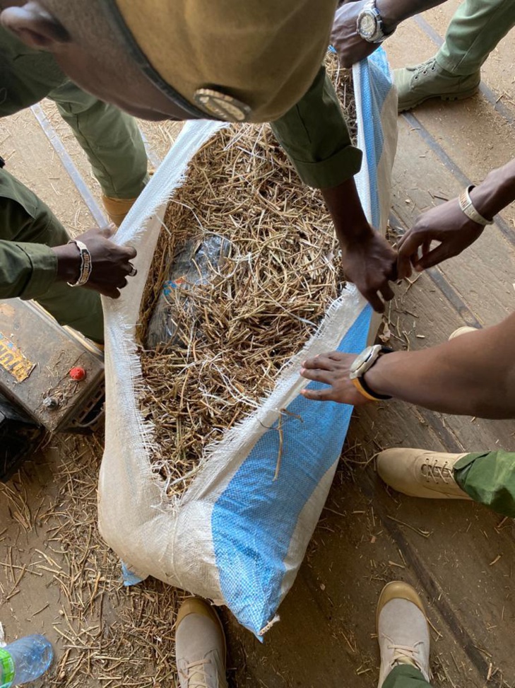 Saisies de drogue, de devises et de médicaments: 1 650 kg de chanvre indien et 245 400 faux euros saisis à Kaolack