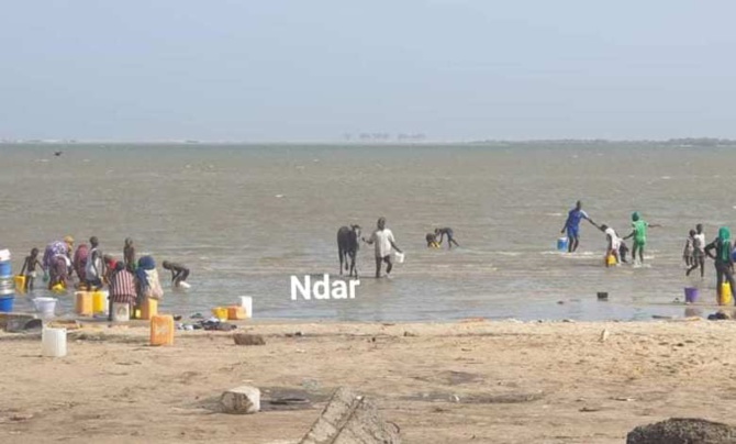 Pénurie d’eau à Saint-Louis: Une soif de 4 jours opprime les populations