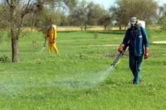 Une application des lois sur les pesticides réclamée lors d'un atelier à Thiès