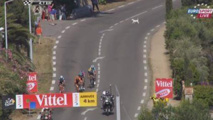 (Vidéo) Un chien s'échappe, le peloton frôle la catastrophe (Vidéo) Un chien s'échappe, le peloton frôle la catastrophe