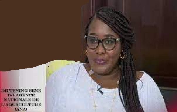 Transhumance politique: Dr. Tening Sène, la Directrice générale de l’ANA pêche dans le Pastef