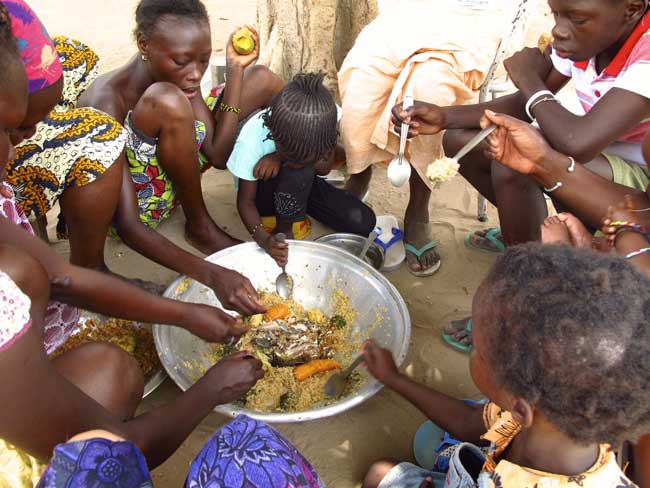 "De grandes entreprises européennes complices de l'insécurité alimentaire en Afrique de l'Ouest" ( Greenpeace)en