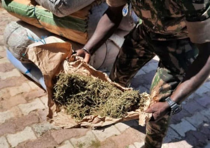 Trafic intérieur de drogue: Ibrahima Diouf risque 10 ans de réclusion criminelle