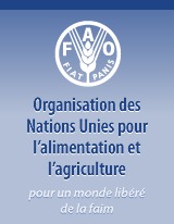 Soutien aux familles démunies : La FAO dégage 359 milliards de F CFA