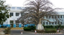 Université Cheikh Anta Diop : Des magouilles peuvent en cacher d'autres