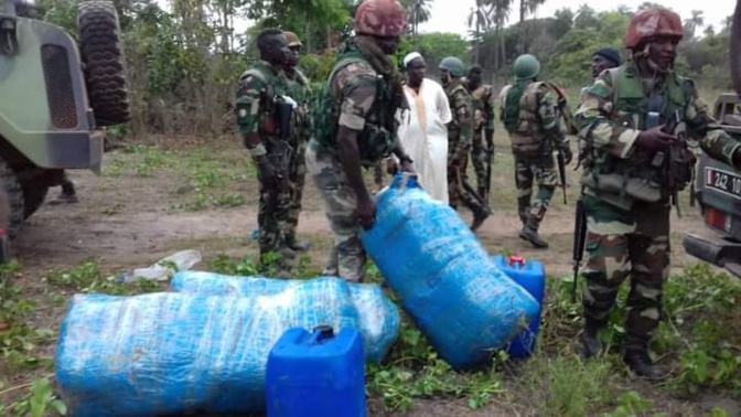 Diouloulou: La Gendarmerie arrête deux trafiquants avec 273 Kg de Yamba et...