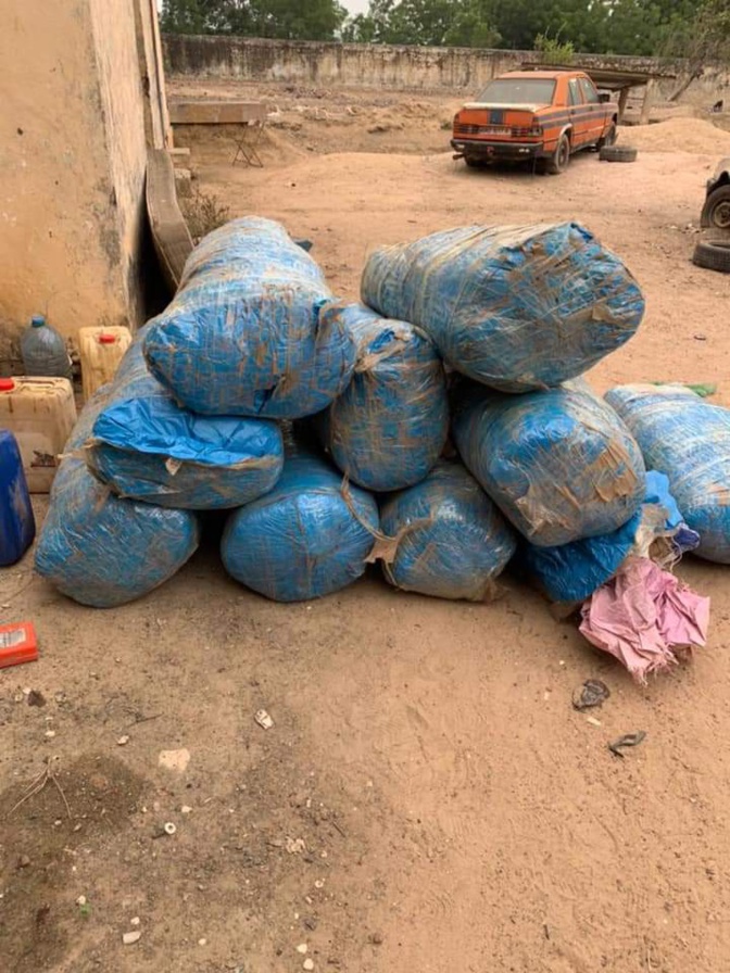 Diouloulou: La Gendarmerie arrête deux trafiquants avec 273 kg de yamba et...