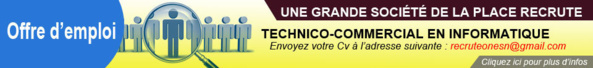 Une Grande Société de la Place recrute:     TECHNICO-COMMERCIAL EN INFORMATIQUE