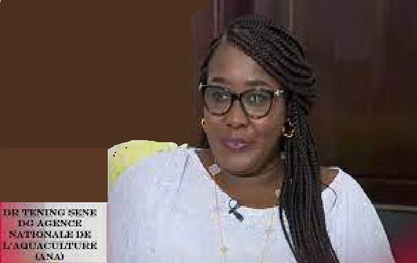 Ndiaganiao: Des chefs de village portent la candidature de Dr. Téning Sène