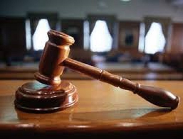 Craintes autour de l’article 238: Birahime Seck plus en profondeur