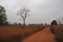 Mbacké : 13 villages bénéficient de latrines