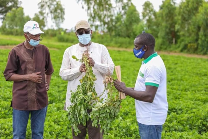 Agriculture: "Des productions record enregistrées" (Abdoulaye Daouda Diallo)