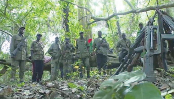 Processus de paix en Casamance: Le MFDC veut savoir où passe l'argent des Ong qui lui est destiné