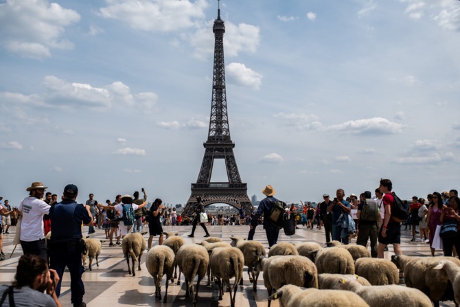 Tabaski 2021: La ville de Paris transformée en "daaral"
