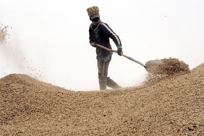 Kolda / Agriculture: Les opérateurs semenciers annoncent une plainte contre des huiliers
