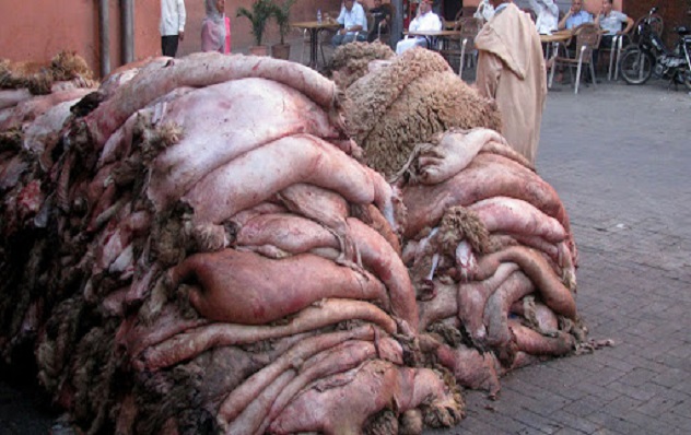 Vente de peaux de moutons après la Tabaski à Dakar :  Zoom sur un business qui s’est transformé