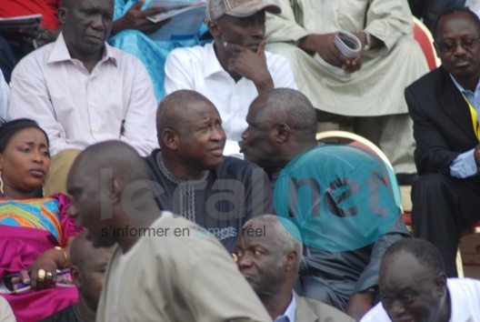 [Photos] Violente dispute entre Gaston Mbengue et Me El Hadji Diouf