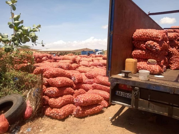 Les paysans de la zone des Niayes dans le désarroi : le cri du cœur d’un citoyen à l’endroit du président Macky Les paysans de la zone des Niayes dans le désarroi : le cri du cœur d’un citoyen à l’endroit du président Macky