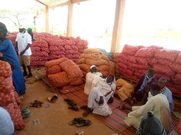 Les paysans de la zone des Niayes dans le désarroi: Le cri du cœur d’un citoyen à l’endroit du Président Macky Sall
