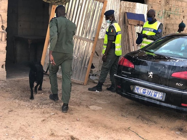 Suite des opérations de la Légion Ouest de la Gendarmerie: Plusieurs interpellations opérées, hier, à Hann