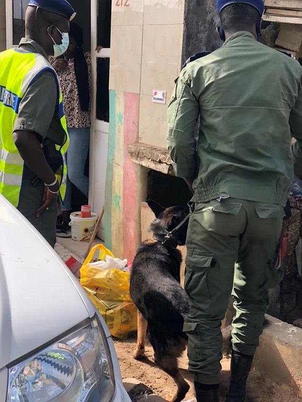 Suite des opérations de la légion-ouest de la gendarmerie : Plusieurs interpellations opérées, hier , à Hann Suite des opérations de la légion-ouest de la gendarmerie : Plusieurs interpellations opérées, hier , à Hann