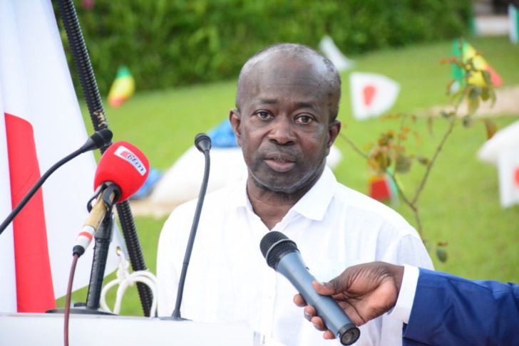 Le Sénégal aux Jeux olympiques de Tokyo 2021: Le travail remarquable de Mamadou Diagna Ndiaye du CNOSS Le Sénégal aux Jeux olympiques de Tokyo 2021: Le travail remarquable de Mamadou Diagna Ndiaye du CNOSS