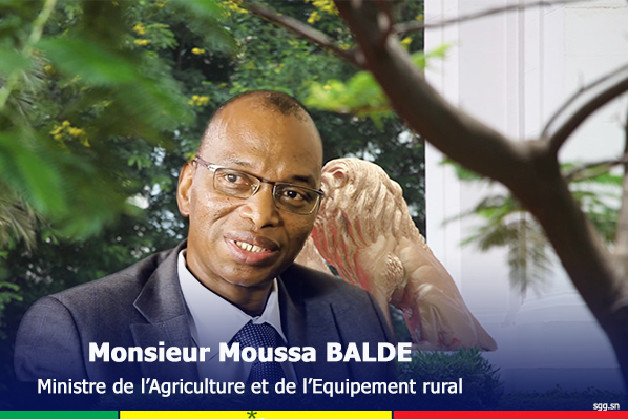 Kaolack / Polémique sur la distribution des intrants: Les pro-Baldé s’en prennent aux opérateurs