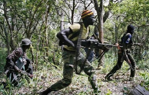 Large analyse du LASPAD : un dictionnaire sur le conflit et la paix en Casamance en vue