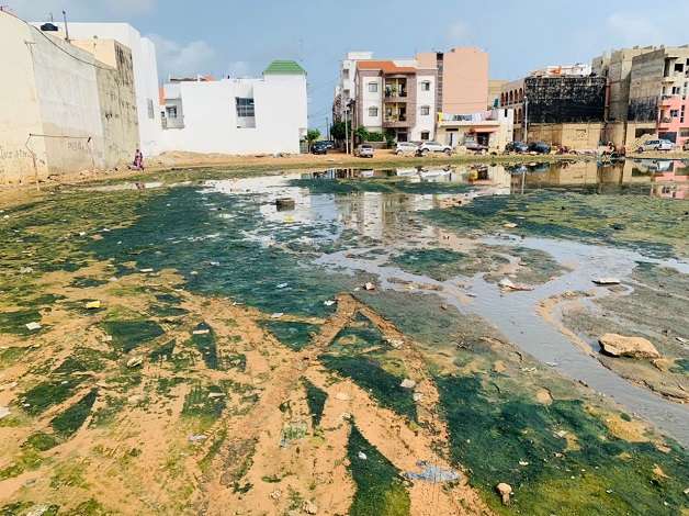 Actes de sabotage dans le réseau d’assainissement à Pikine rue 10 : les images d’un vandalisme sans nom Actes de sabotage dans le réseau d’assainissement à Pikine rue 10 : les images d’un vandalisme sans nom