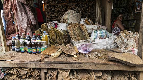 Médecine Traditionnelle: L’État du Sénégal apprécie à sa juste valeur la participation de ses praticiens