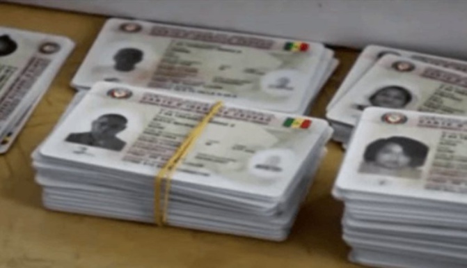 Saint-Louis/ Révision des listes électorales: Des cartes d’identité en souffrance à la préfecture