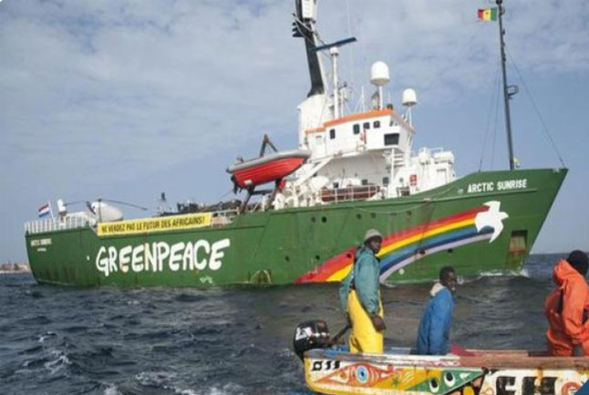 Implantation de nouvelles usines de farine et d’huile de poisson: Greenpeace Afrique et les pêcheurs crient au scandale