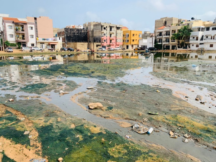 VIDEO-PHOTOS / Sabotage des canalisations de Keur Massar: Des murs érigés pour freiner l’évacuation des eaux de pluie VIDEO-PHOTOS / Sabotage des canalisations de Keur Massar: Des murs érigés pour freiner l’évacuation des eaux de pluie