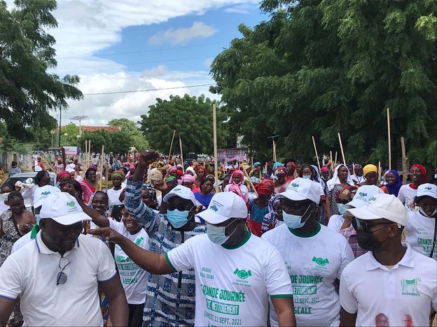 Wadial Magal Gui-Grande journée de nettoiement à Diourbel : Plus de  1500 Jeunes et Femmes mobilisés par le Directeur de l'emploi