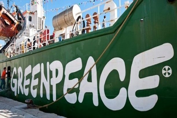 Usine de fabrication de farine de poisson à Sandiara et à Cayar: Greenpeace Afrique devrait informer juste et vrai…( Kadialy Gassama),