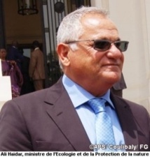 Formation du nouveau gouvernement : Des Sénégalo-Libanais réjouis du choix porté sur Mahmoud Saleh et Ali Haidar