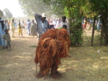 Mbour : Un homme ouvre le feu et blesse deux accompagnants de kankourang
