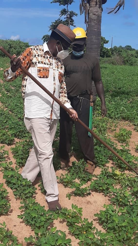 Diass / Consolidation de la relance agricole: Mamadou Ndione satisfait et donne rendez-vous à la récolte