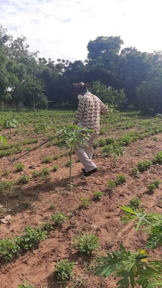 Diass / Consolidation de la relance agricole: Mamadou Ndione satisfait et donne rendez-vous à la récolte